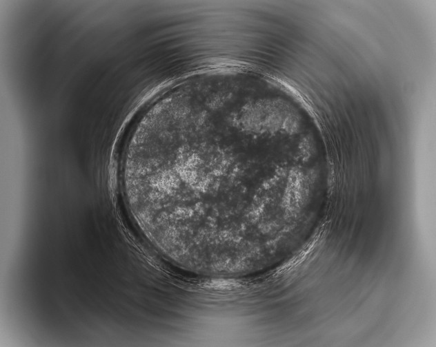 X0000093400835200711091339