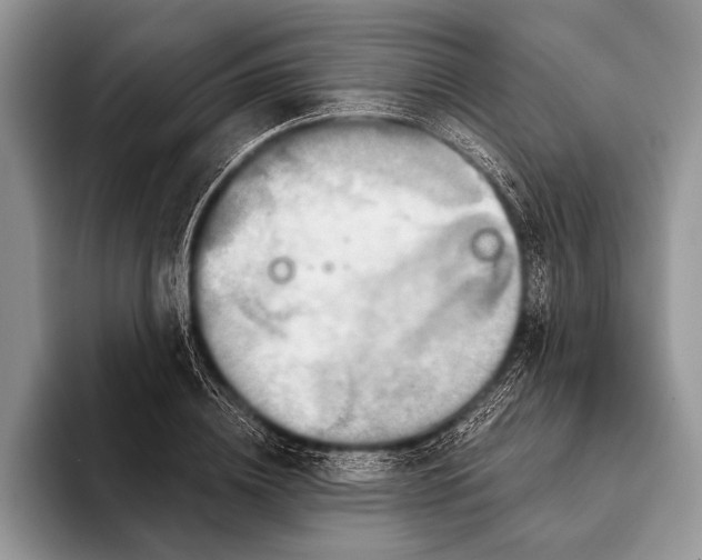 X0000093400836200711091339