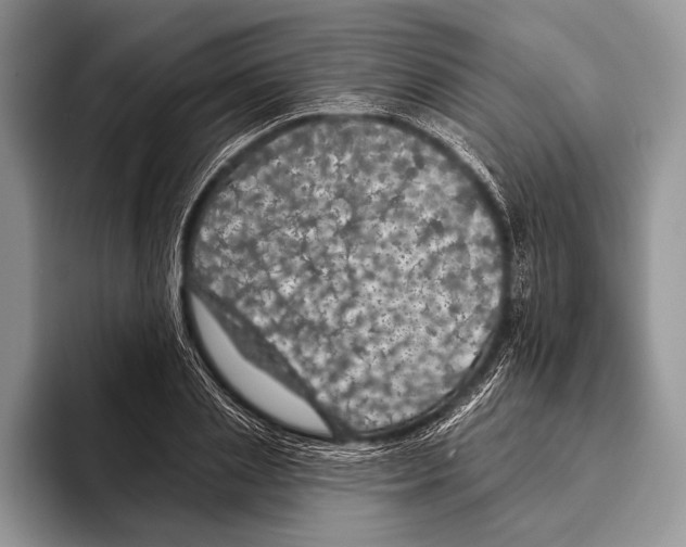 X0000093400837200711091339