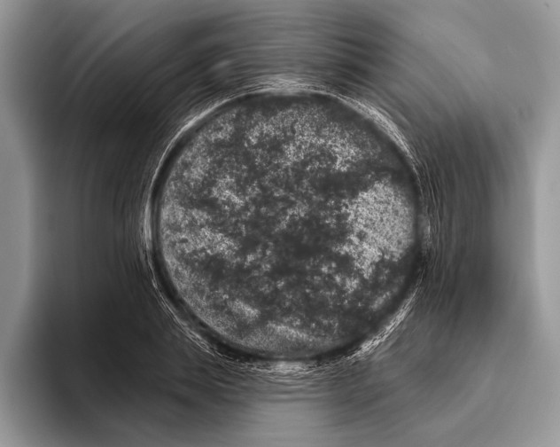 X0000093400839200711091339