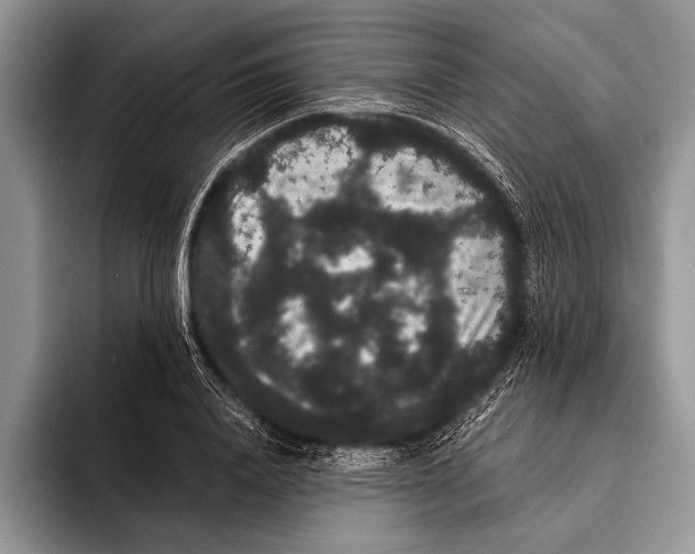 X0000093400840200711091339