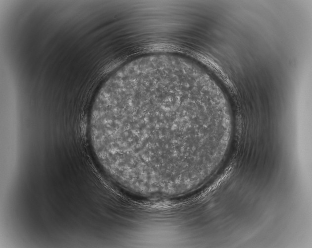 X0000093400841200711091339