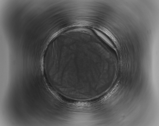 X0000093400842200711091339