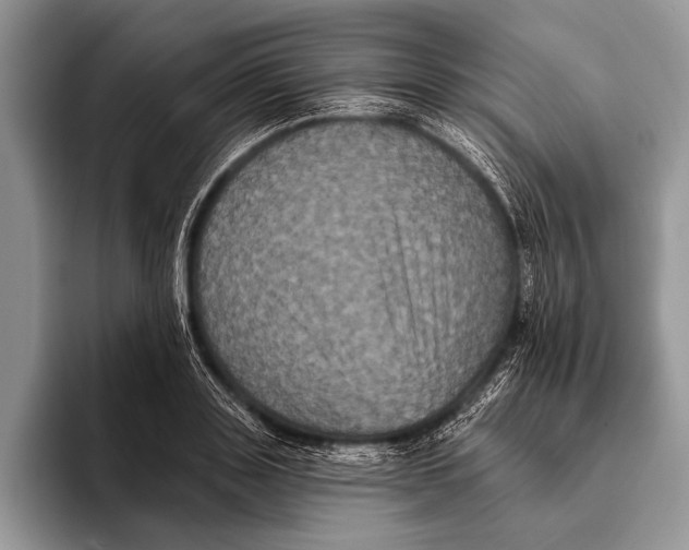 X0000093400843200711091339