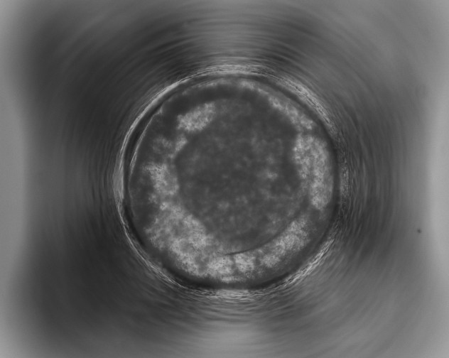 X0000093400844200711091339