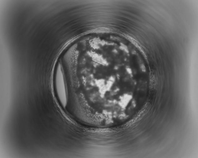 X0000093400845200711091339