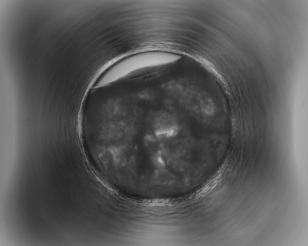 X0000093400846200711091339