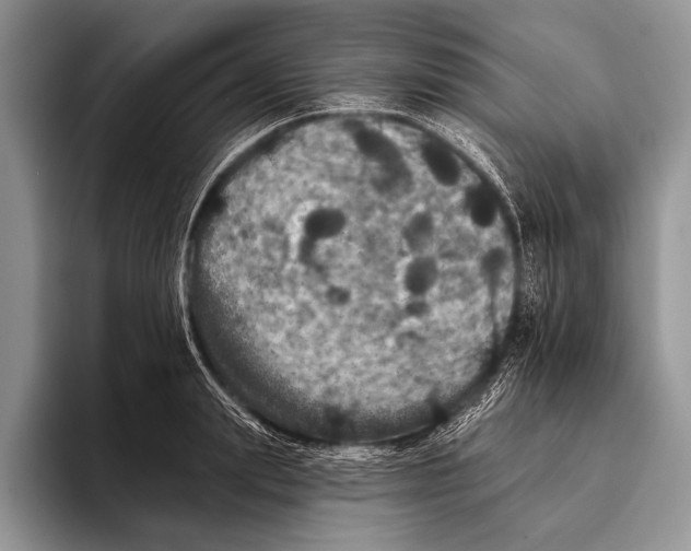 X0000093400847200711091339