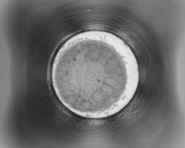 X0000093400848200711091339