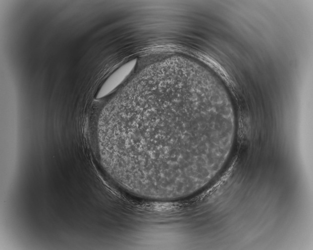 X0000093400849200711091339