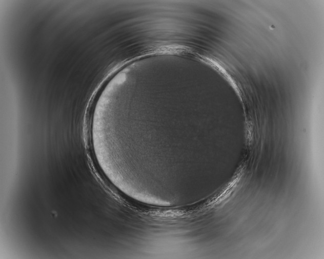 X0000093400851200711091340