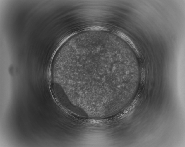 X0000093400852200711091340