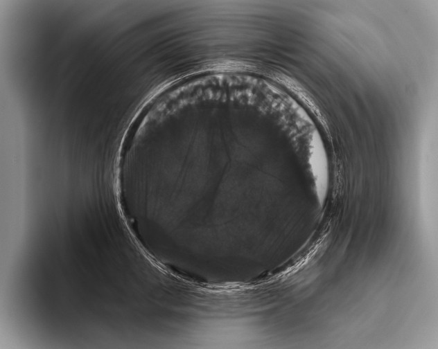 X0000093400853200711091340