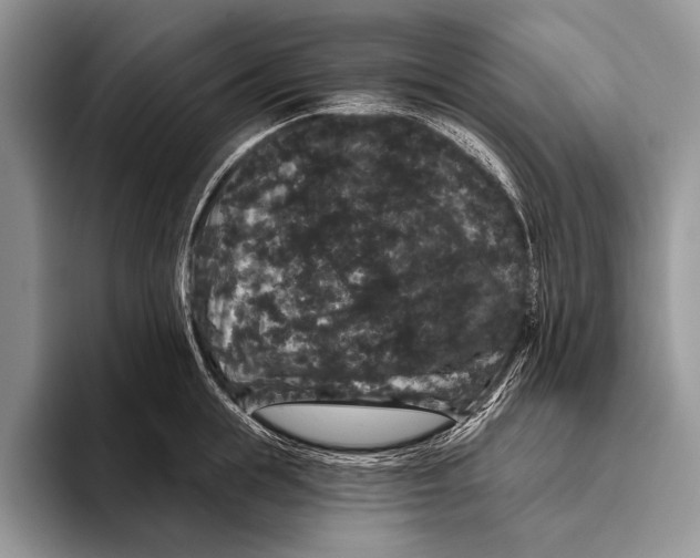 X0000093400855200711091340