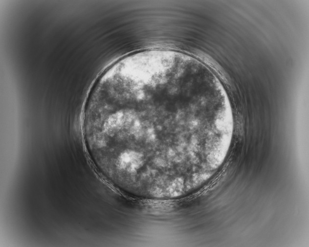 X0000093400856200711091340