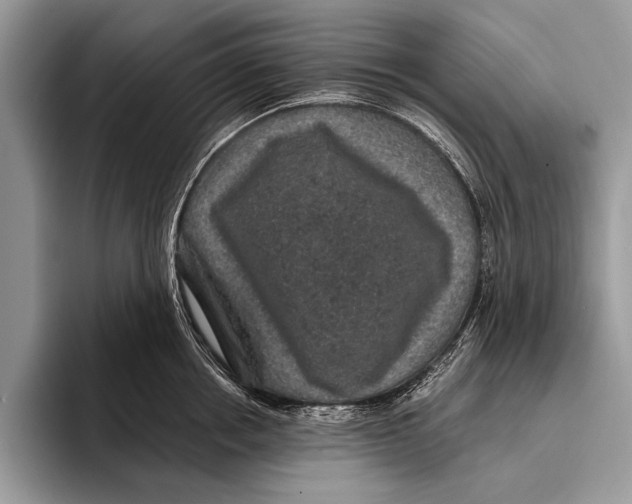 X0000093400858200711091340