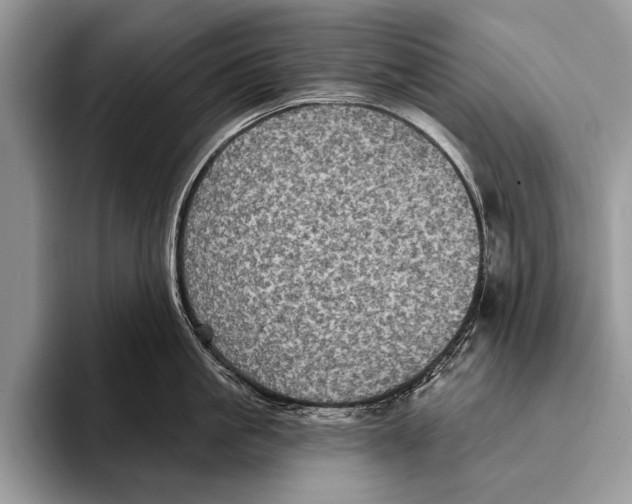 X0000093400861200711091340