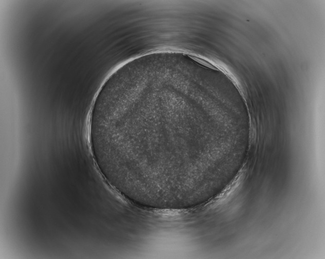 X0000093400862200711091340