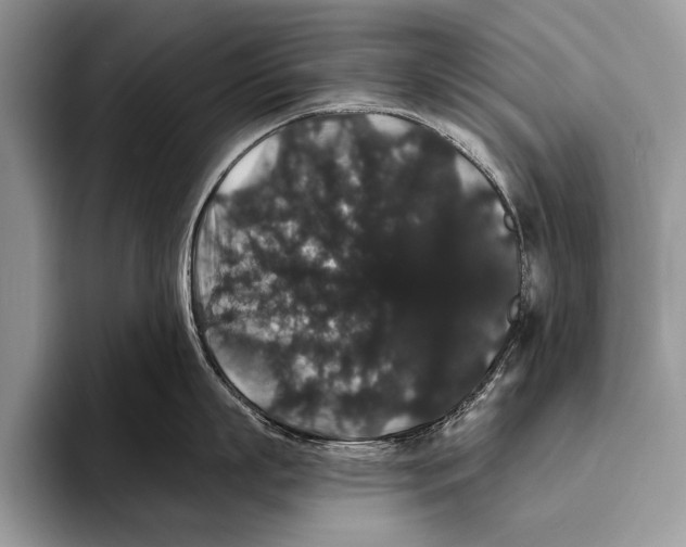 X0000093400863200711091340