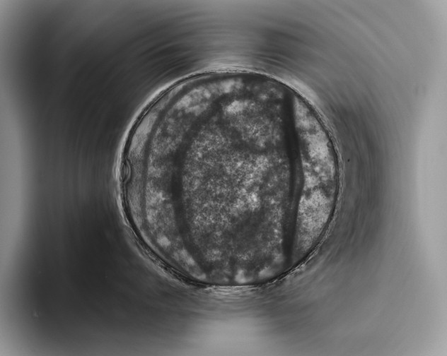 X0000093400864200711091340