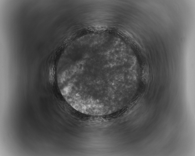 X0000093400866200711091339