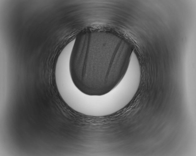 X0000093400868200711091339