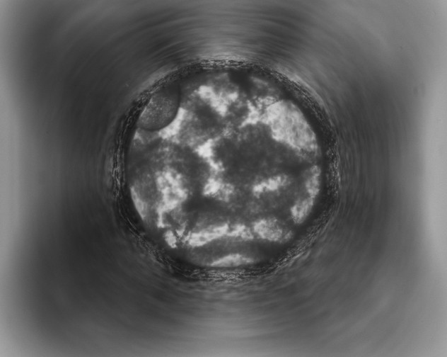 X0000093400870200711091339