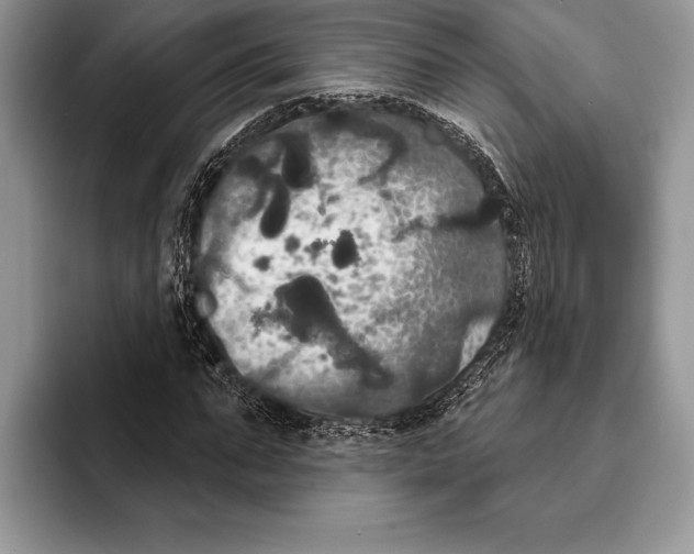 X0000093400871200711091339