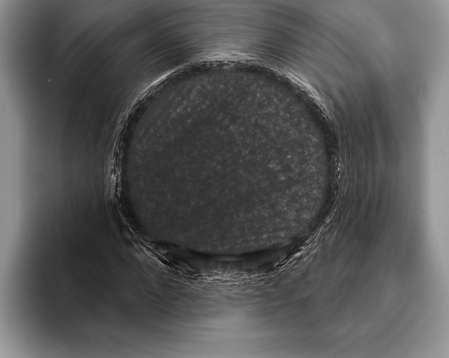 X0000093400872200711091339