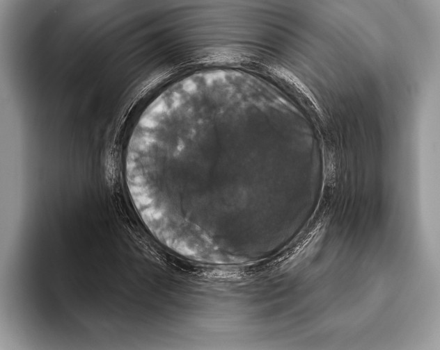 X0000093400874200711091339