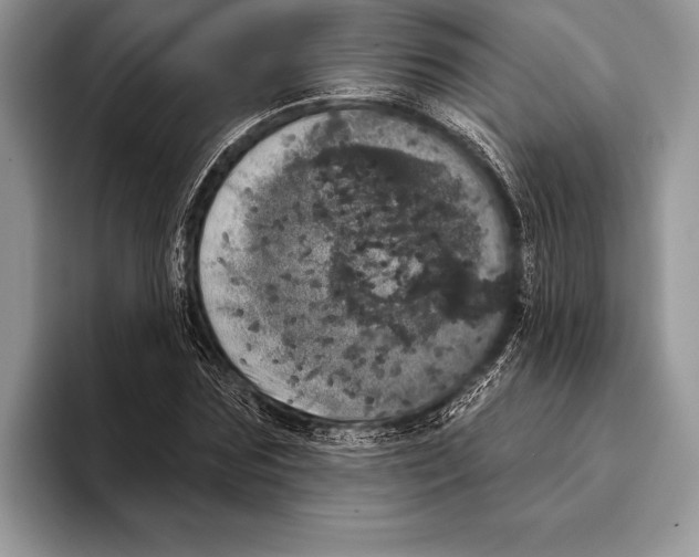 X0000093400875200711091339