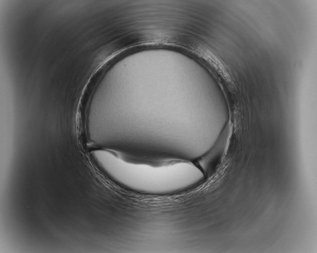 X0000093400876200711091339