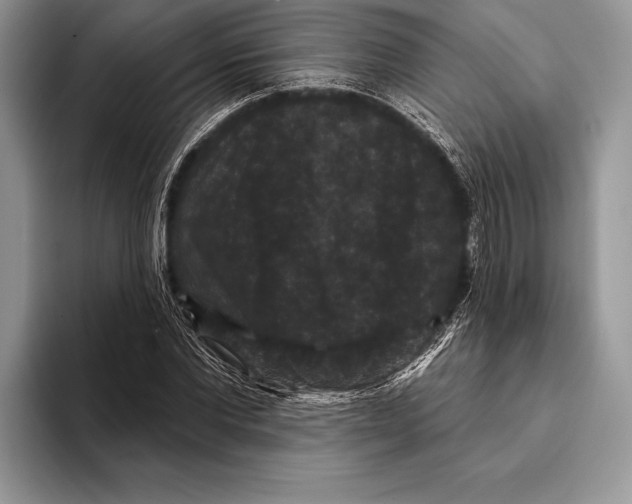 X0000093400877200711091339