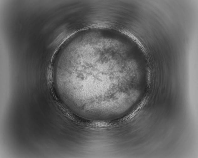 X0000093400878200711091339