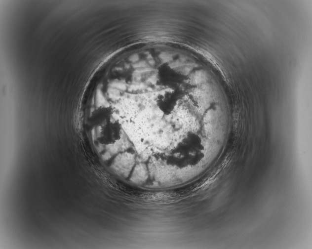 X0000093400879200711091339