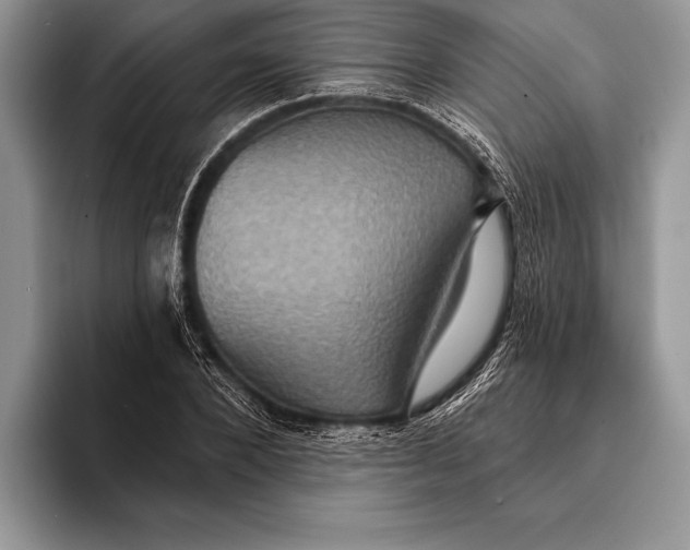 X0000093400880200711091339