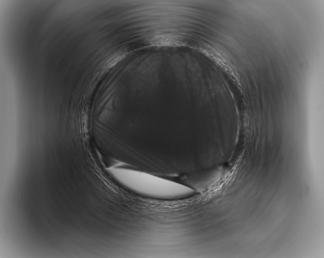 X0000093400881200711091339