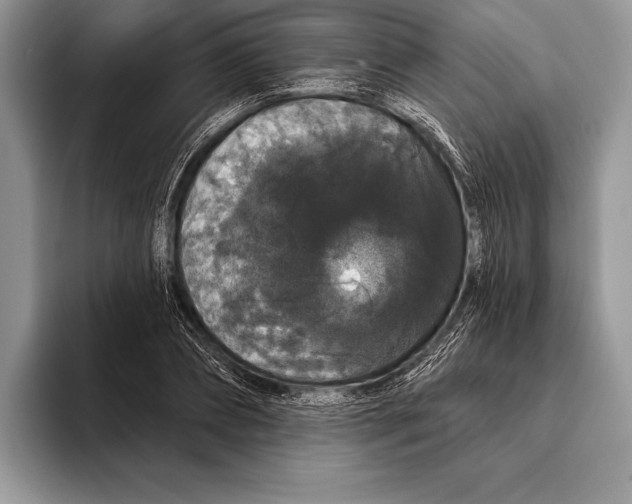 X0000093400882200711091339