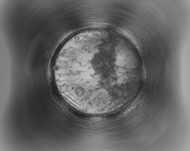 X0000093400883200711091339