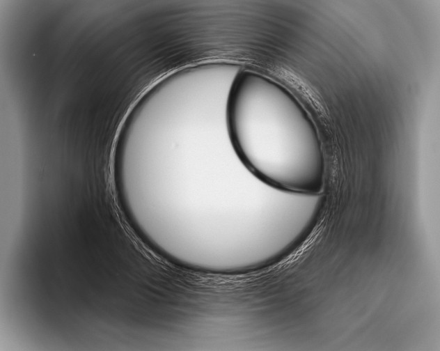 X0000093400884200711091339