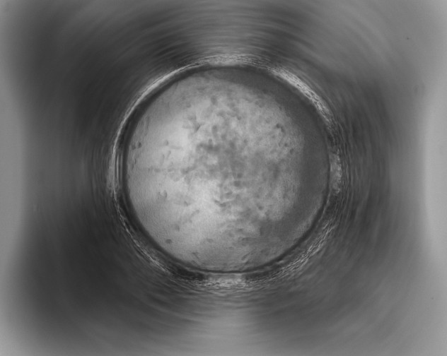 X0000093400886200711091339