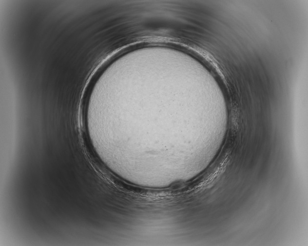 X0000093400887200711091339