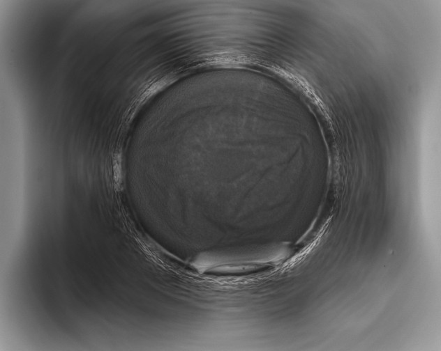 X0000093400889200711091339