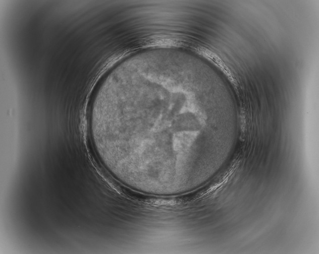 X0000093400890200711091339