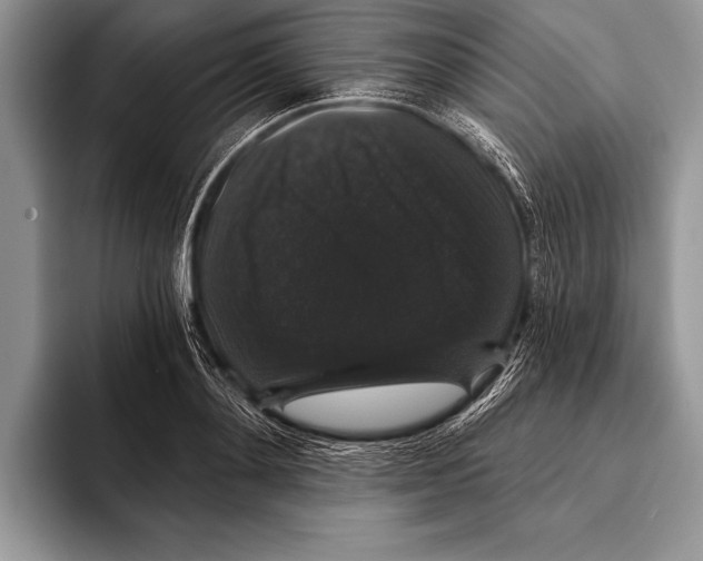 X0000093400892200711091339