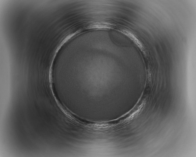 X0000093400893200711091339