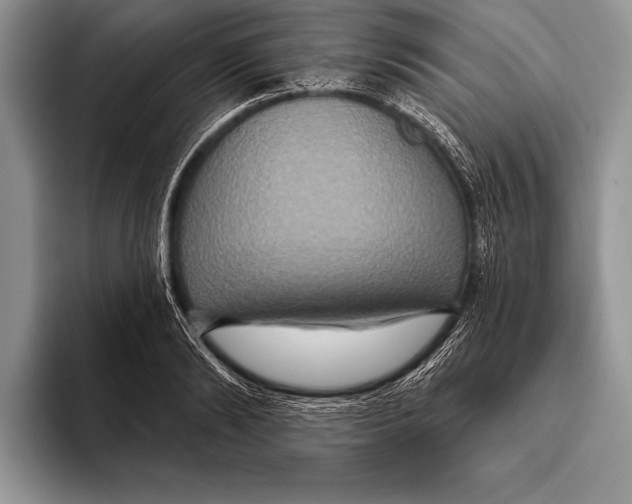 X0000093400894200711091339