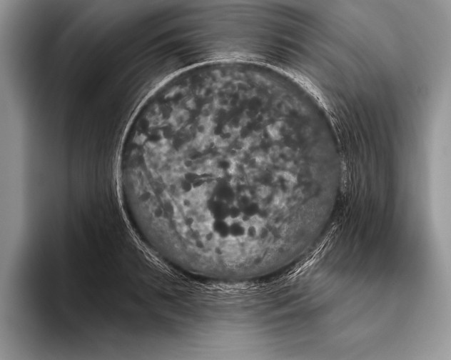 X0000093400895200711091339