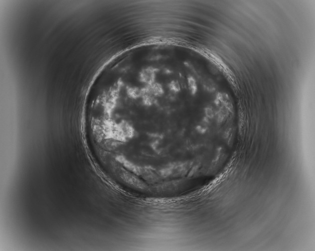 X0000093400896200711091339