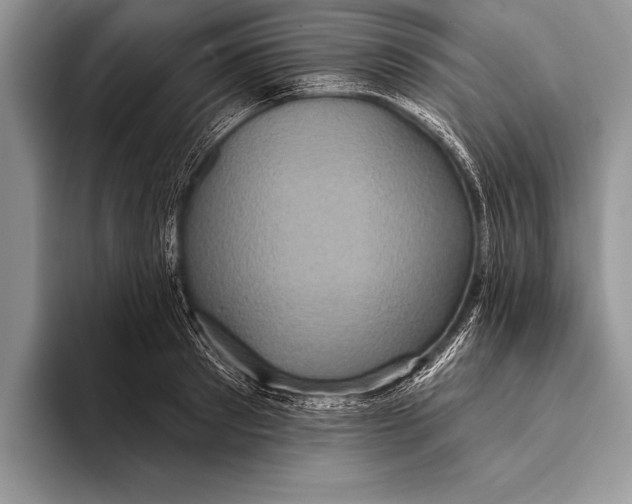 X0000093400897200711091339